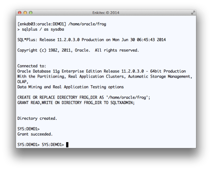 Creating FROG_DIR database directory and providing access to SQLTXADMIN