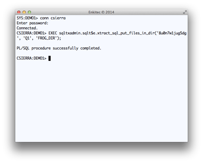 Execution of Public API SQLTXADMIN.SQLT$E.XTRACT_SQL_PUT_FILES_IN_DIR
